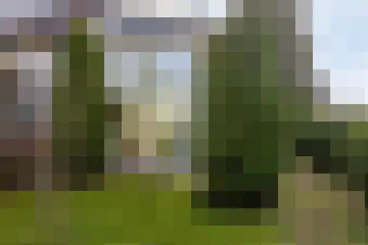 Kerkstraat 3 Linden thumbnail 44