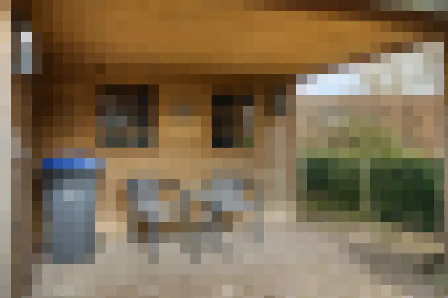 Kerkstraat 3 Linden thumbnail 46
