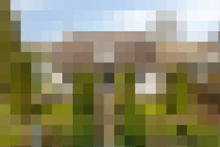 Kerkstraat 3 Linden thumbnail 5