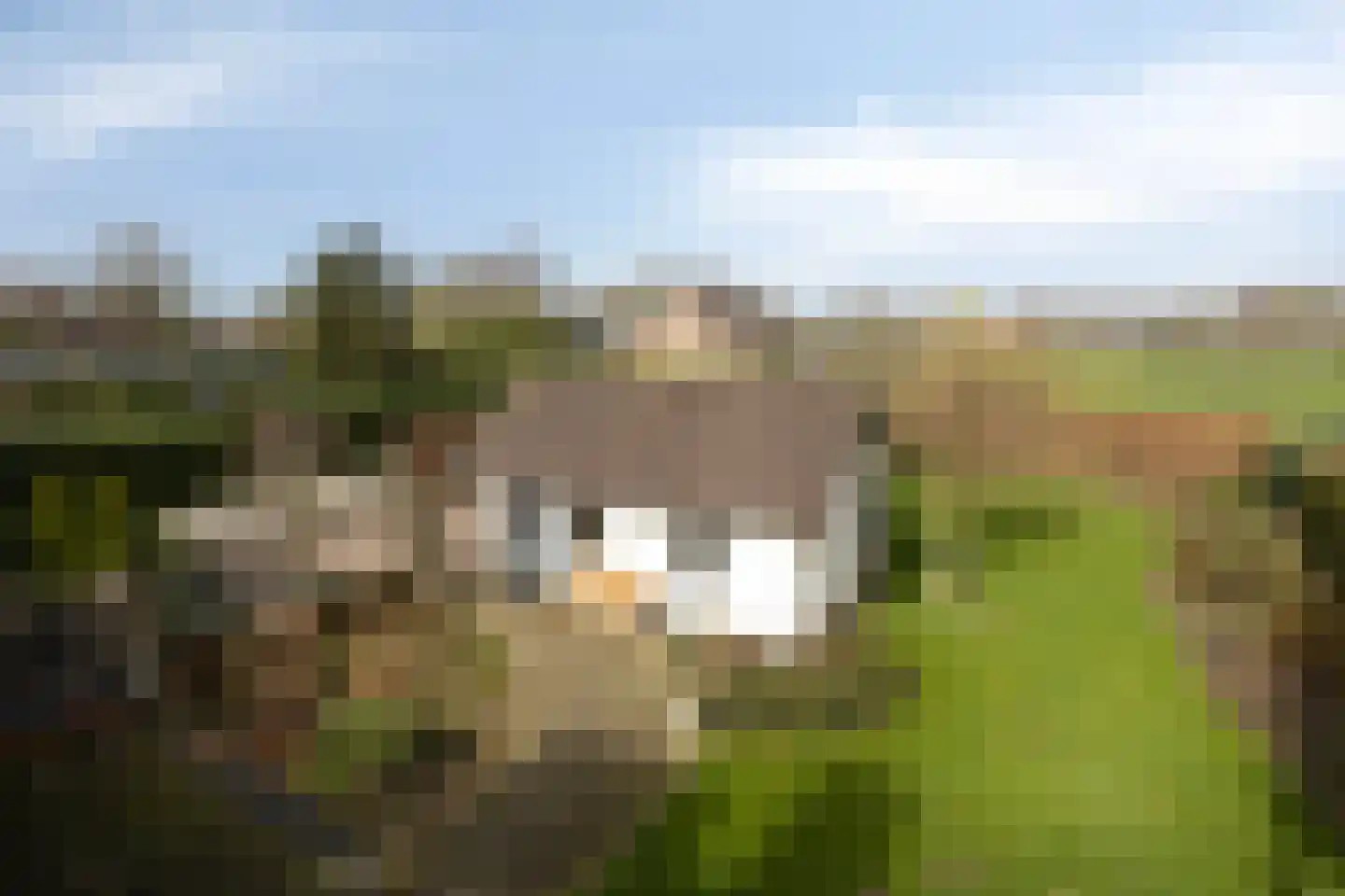 Kerkstraat 3 Linden thumbnail 54
