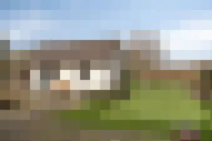 Kerkstraat 3 Linden thumbnail 57
