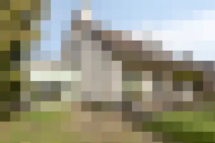 Kerkstraat 3 Linden thumbnail 7
