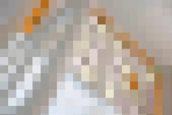 Kerkstraat 3 Maasbommel thumbnail 10