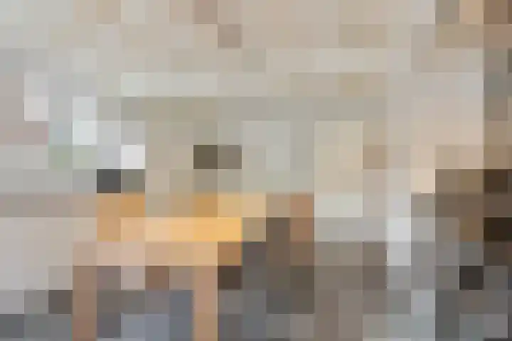 Kerkstraat 3 Maasbommel thumbnail 25