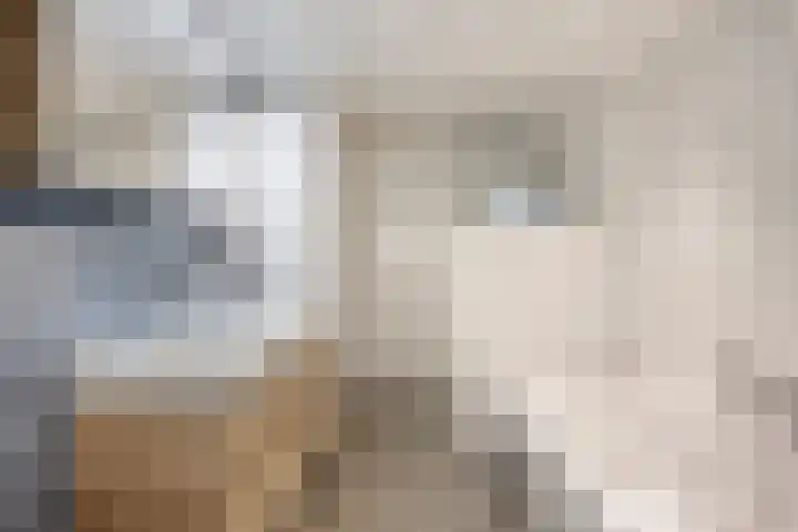 Kerkstraat 3 Maasbommel thumbnail 27