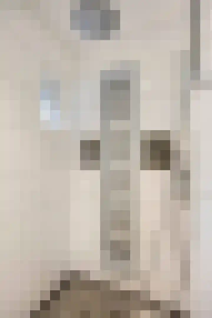 Kerkstraat 3 Maasbommel thumbnail 28