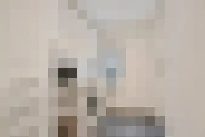 Kerkstraat 3 Maasbommel thumbnail 32
