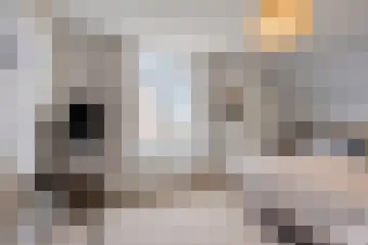 Kerkstraat 3 Maasbommel thumbnail 37