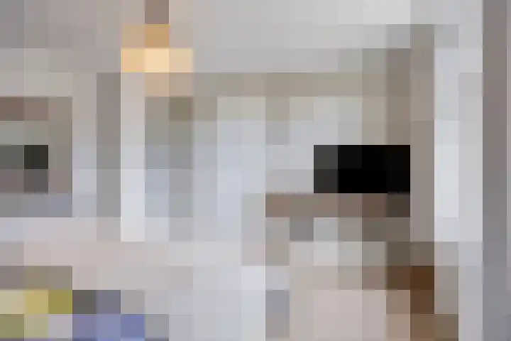 Kerkstraat 3 Maasbommel thumbnail 38