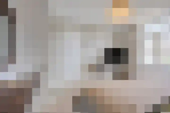 Kerkstraat 3 Maasbommel thumbnail 39