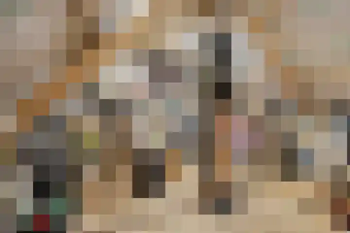 Kerkstraat 3 Maasbommel thumbnail 59