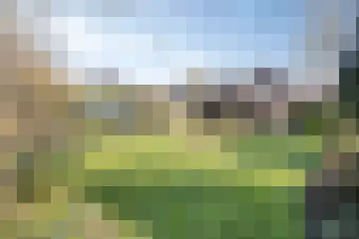 Kerkstraat 3 Maasbommel thumbnail 61