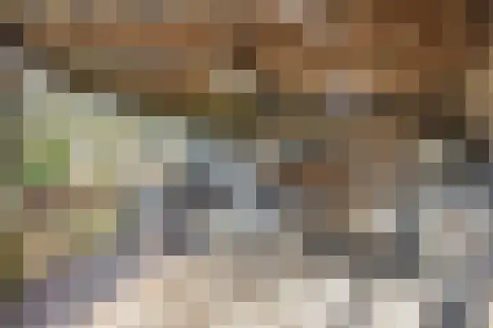 Kerkstraat 3 Maasbommel thumbnail 65
