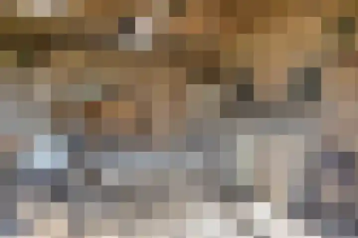 Kerkstraat 3 Maasbommel thumbnail 66