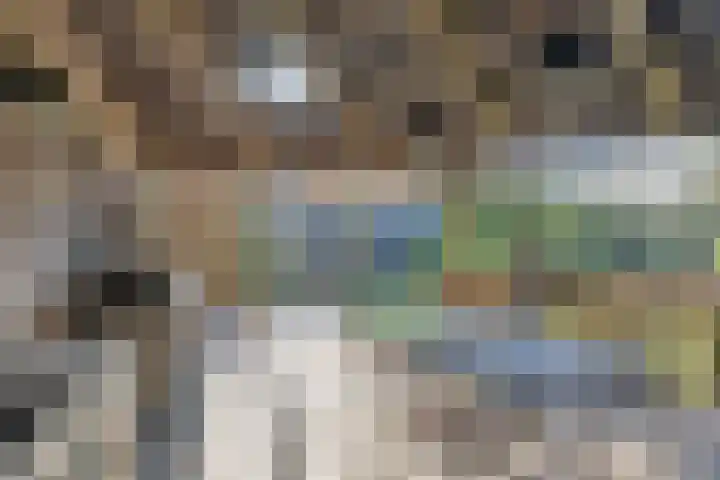Kerkstraat 3 Maasbommel thumbnail 67