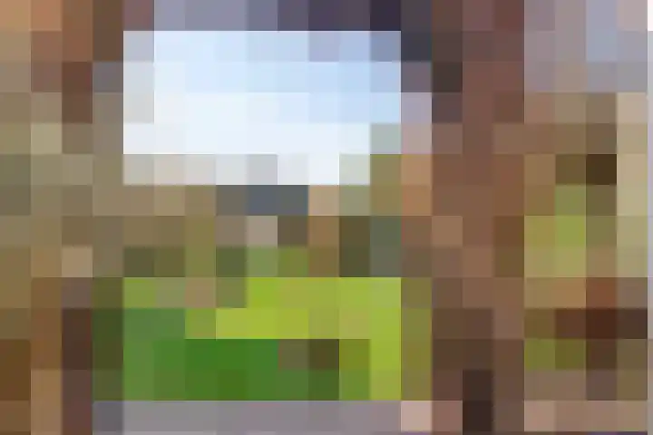 Kerkstraat 3 Maasbommel thumbnail 69