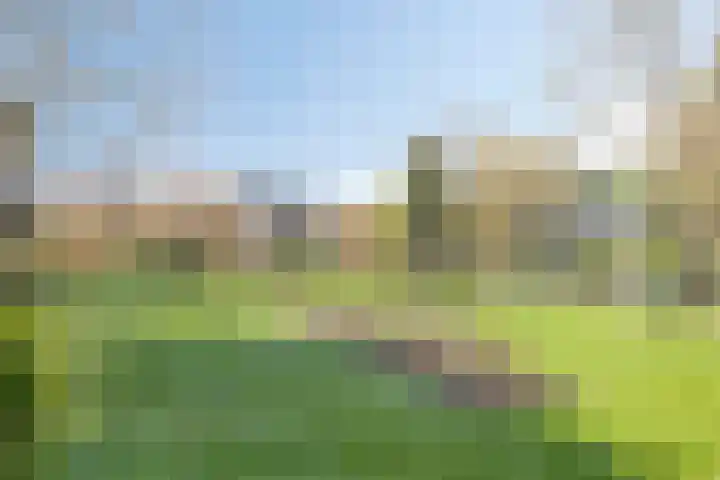 Kerkstraat 3 Maasbommel thumbnail 70