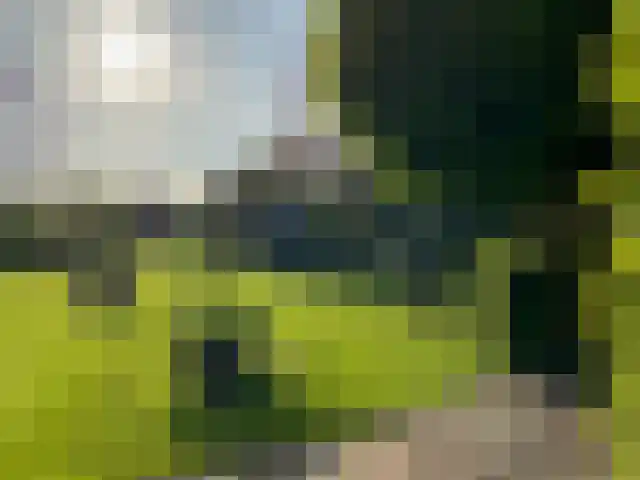 Kerkstraat 3 Maasbommel thumbnail 71