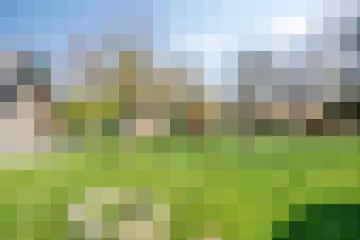 Kerkstraat 3 Maasbommel thumbnail 77