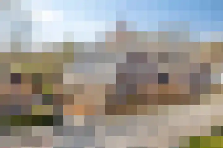 Kerkstraat 3 Maasbommel thumbnail 85
