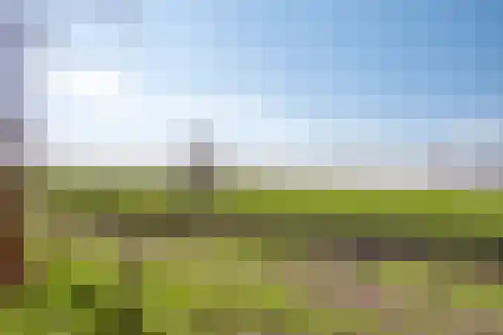 Kerkstraat 3 Maasbommel thumbnail 89