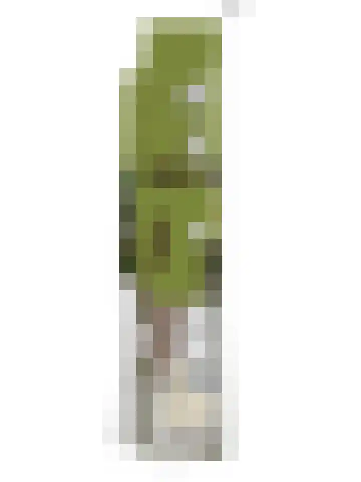 Kerkstraat 3 Maasbommel thumbnail 90