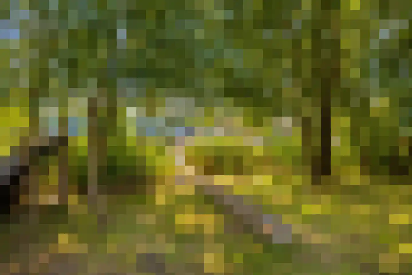 Kerkstraat 3 Oostzaan thumbnail 32
