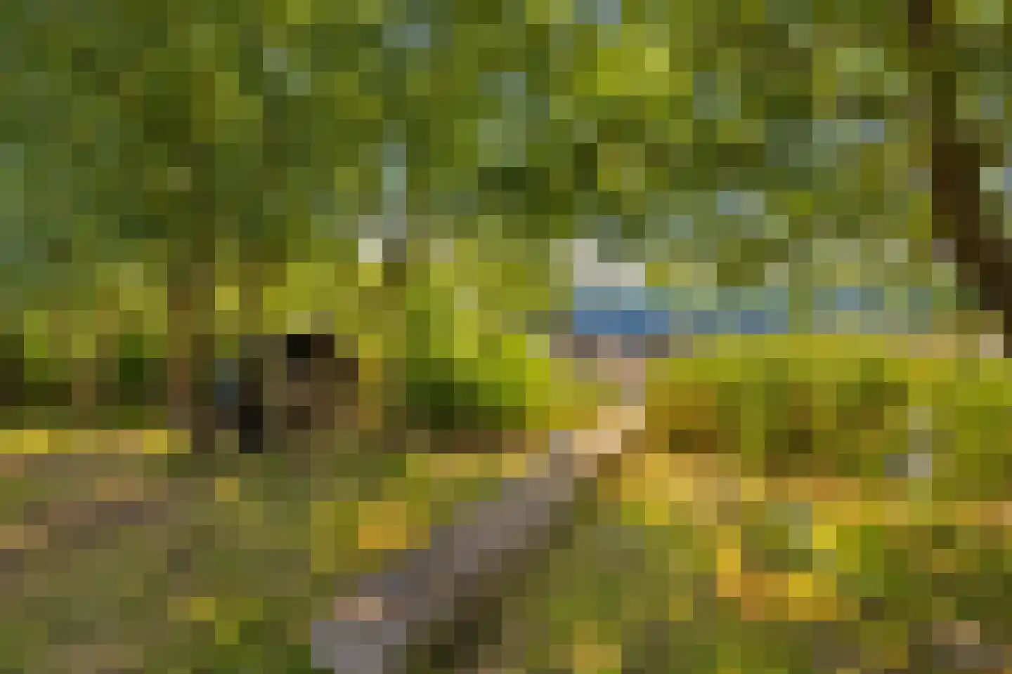 Kerkstraat 3 Oostzaan thumbnail 33