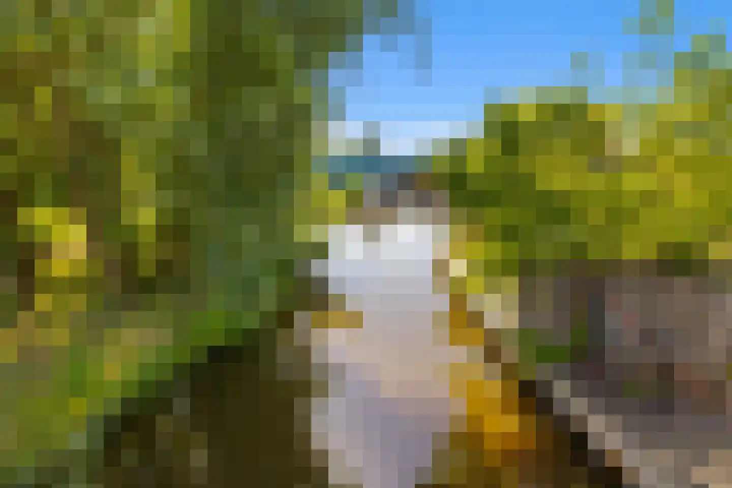 Kerkstraat 3 Oostzaan thumbnail 39