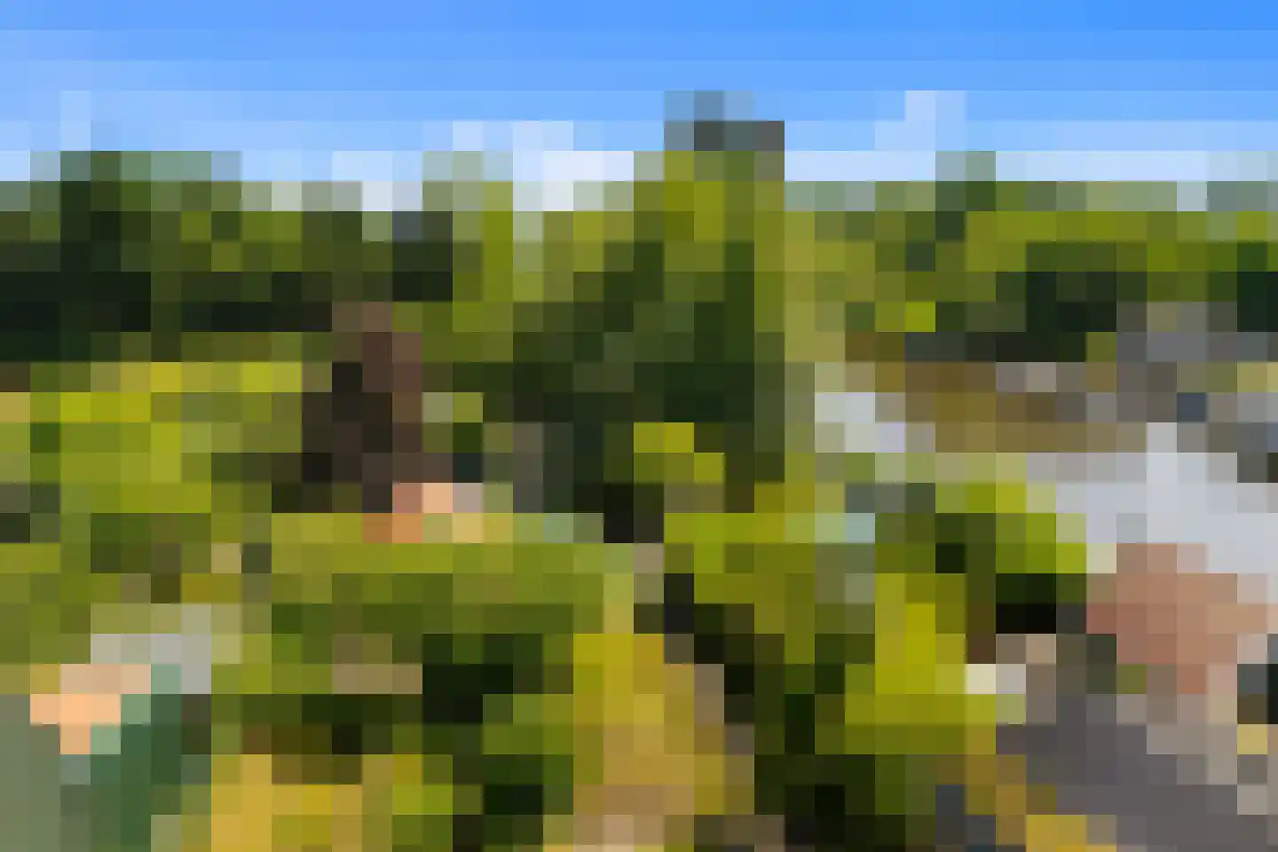 Kerkstraat 3 Oostzaan thumbnail 64