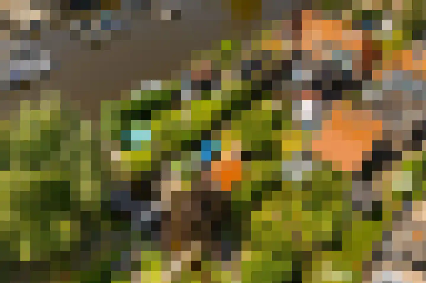Kerkstraat 3 Oostzaan thumbnail 71
