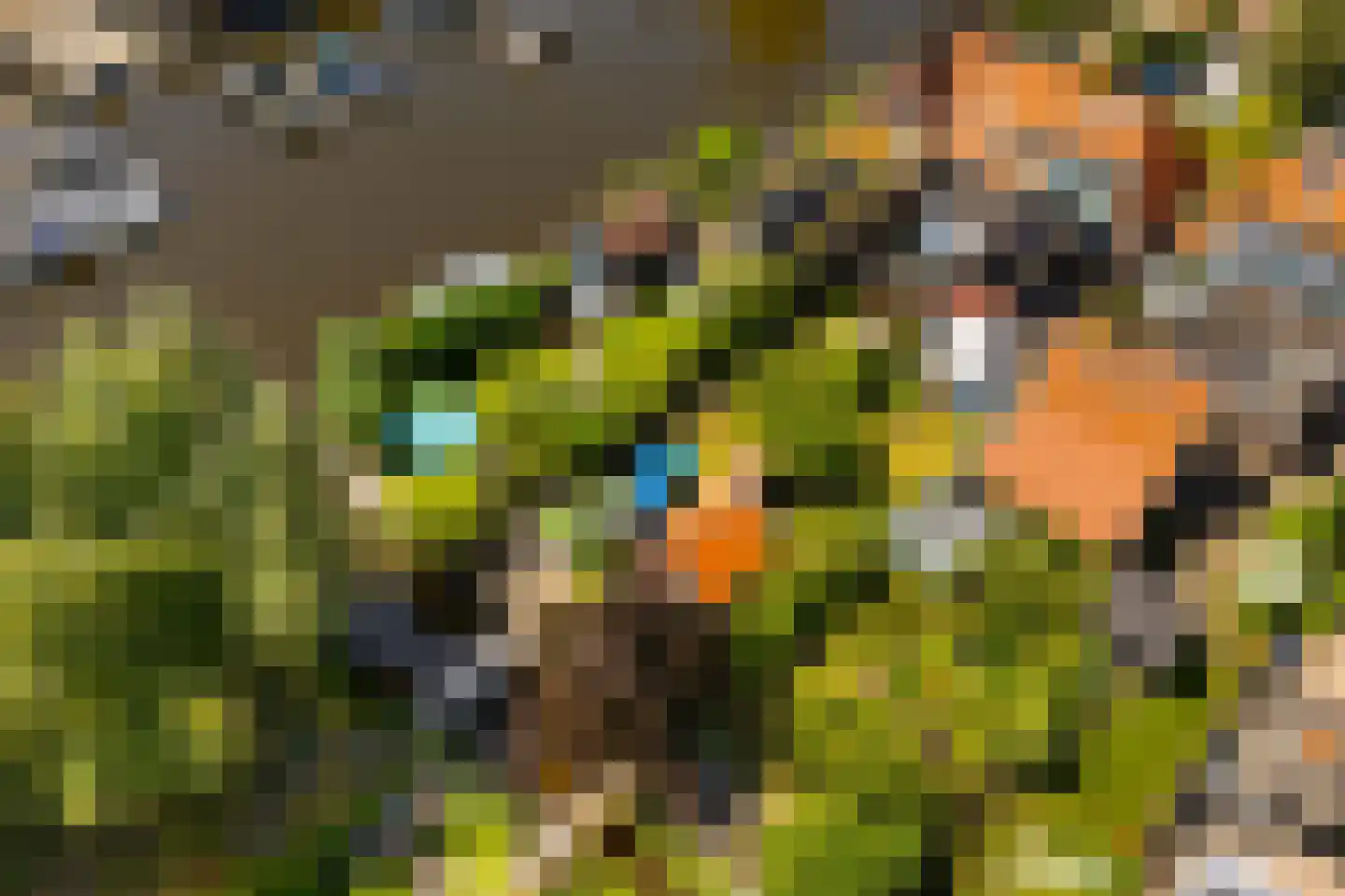 Kerkstraat 3 Oostzaan thumbnail 76