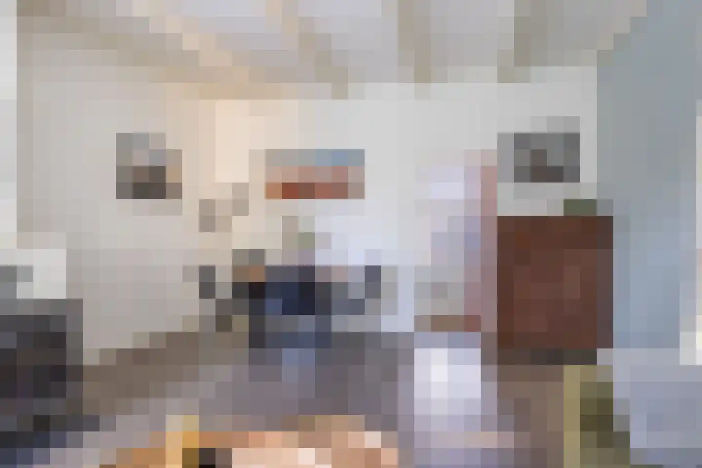 Kerkstraat 3 Peins thumbnail 21