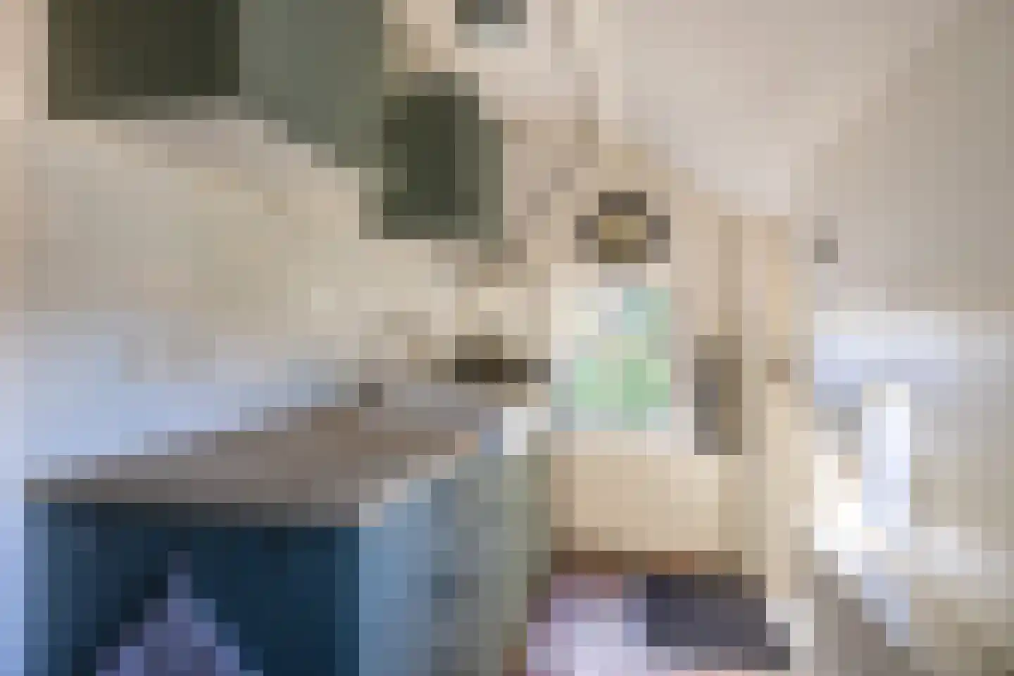 Kerkstraat 3 Peins thumbnail 27