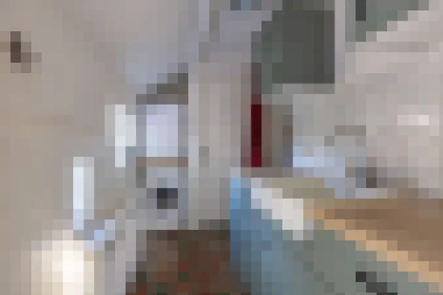 Kerkstraat 3 Peins thumbnail 29