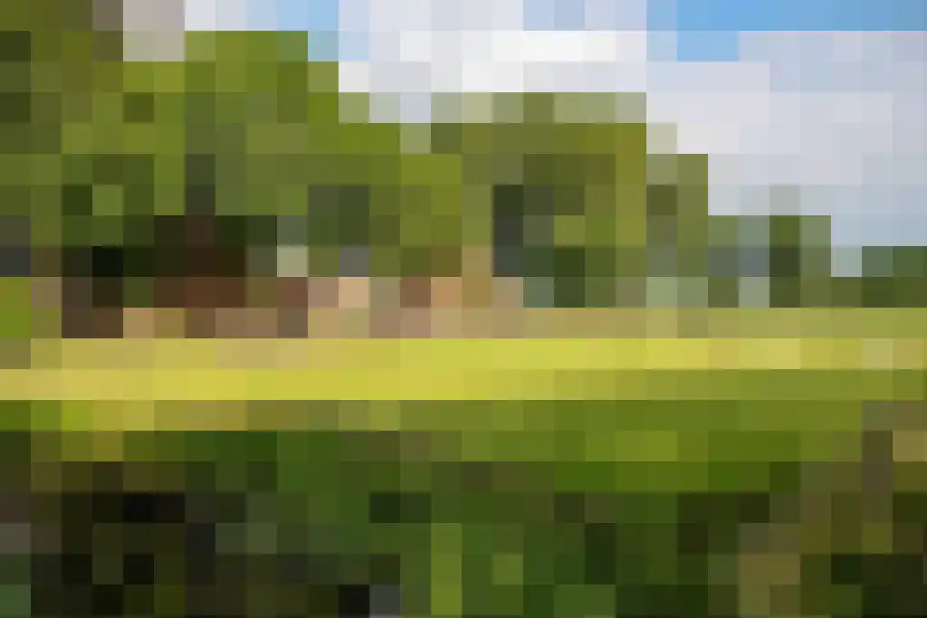 Kerkstraat 3 Peins thumbnail 50