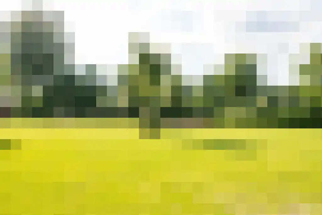 Kerkstraat 3 Peins thumbnail 51