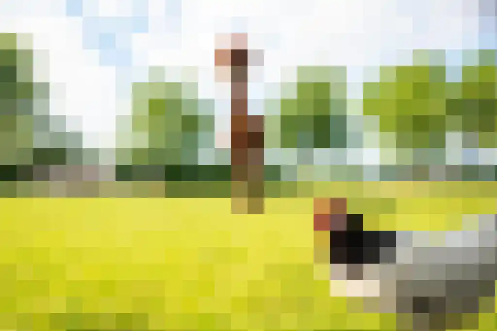 Kerkstraat 3 Peins thumbnail 52