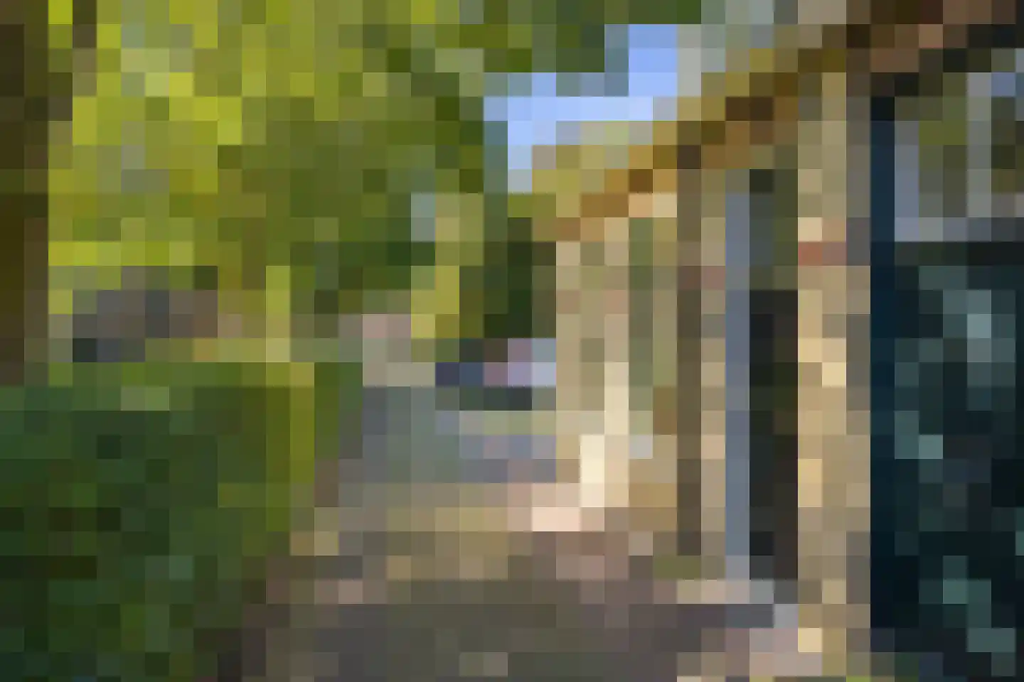 Kerkstraat 3 Peins thumbnail 9
