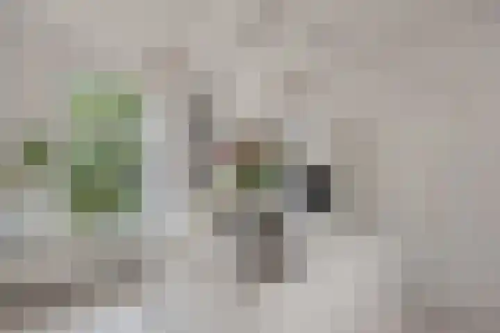Kerkstraat 3 Rijswijk thumbnail 17