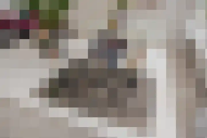 Kerkstraat 3 Rijswijk thumbnail 18