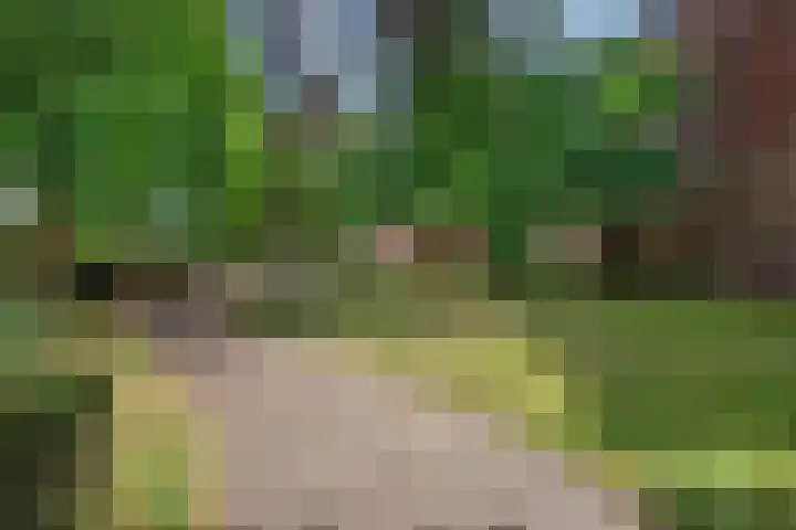 Kerkstraat 3 Rijswijk thumbnail 32