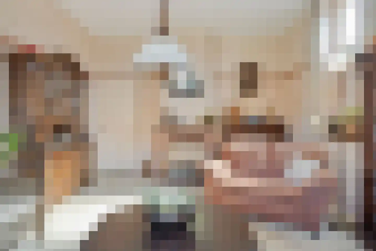 Kerkstraat 3 Stavenisse thumbnail 13