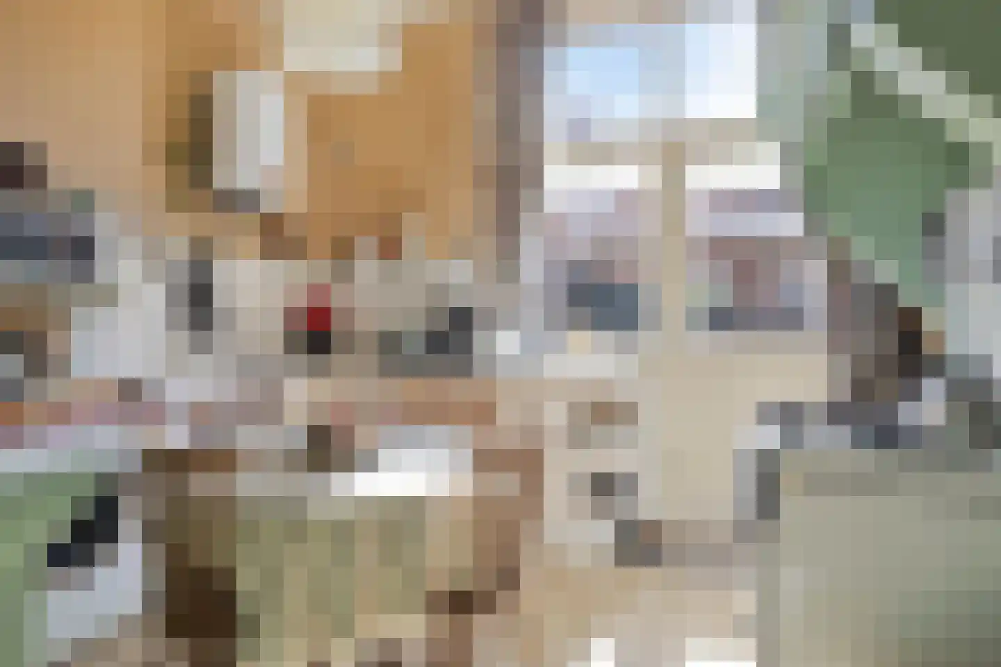 Kerkstraat 3 Stavenisse thumbnail 15