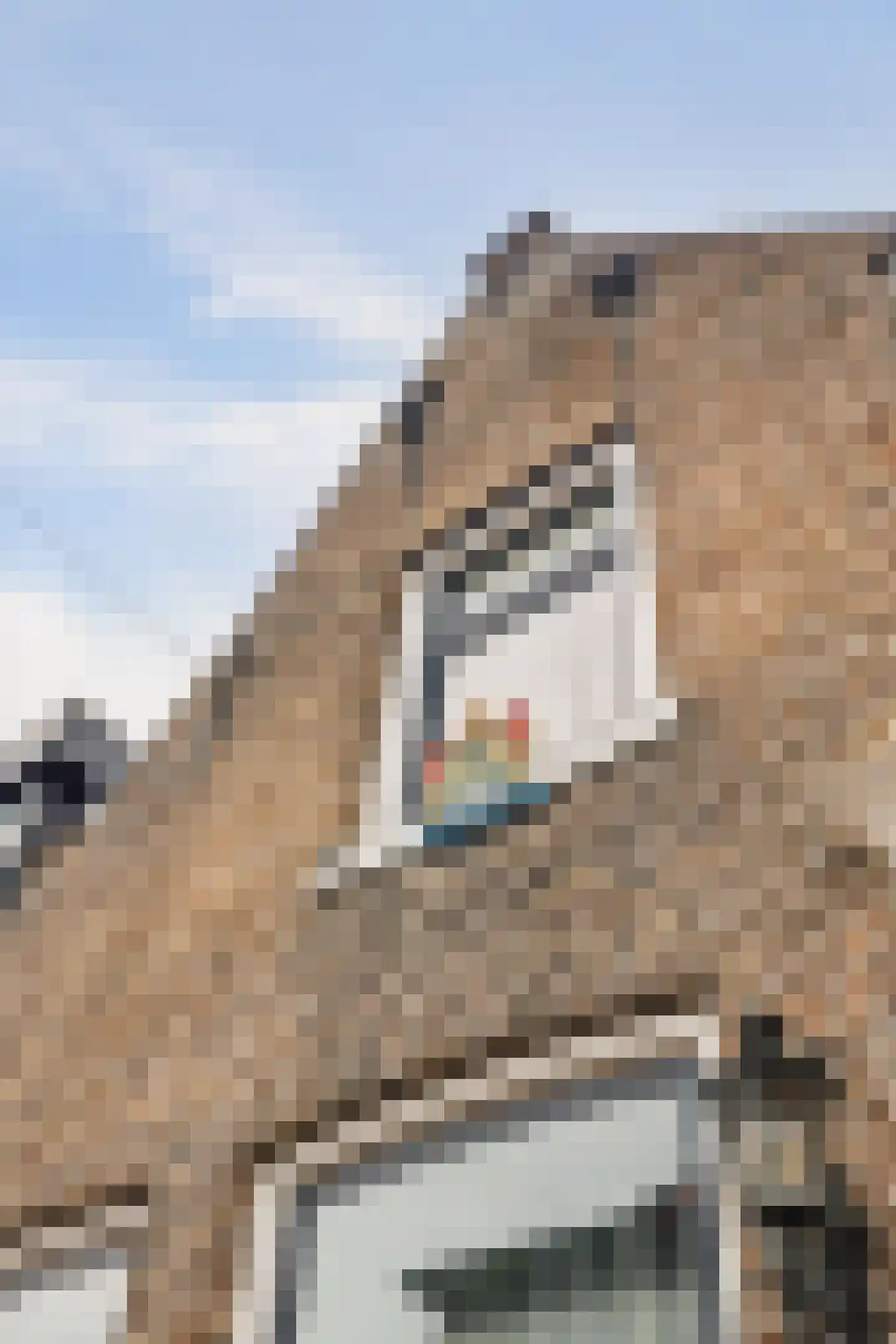 Kerkstraat 3 Strijen thumbnail 10