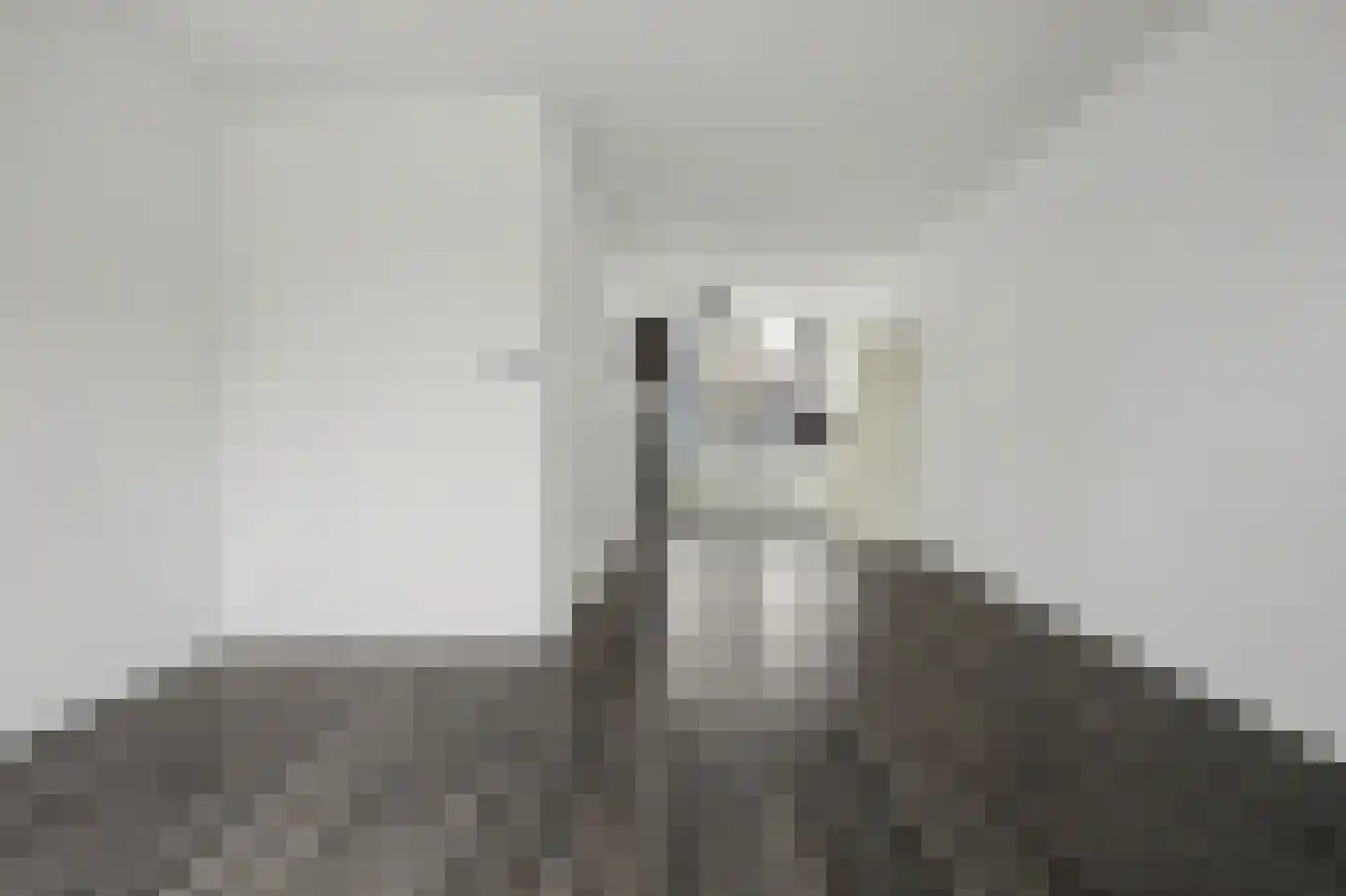 Kerkstraat 3 Strijen thumbnail 14