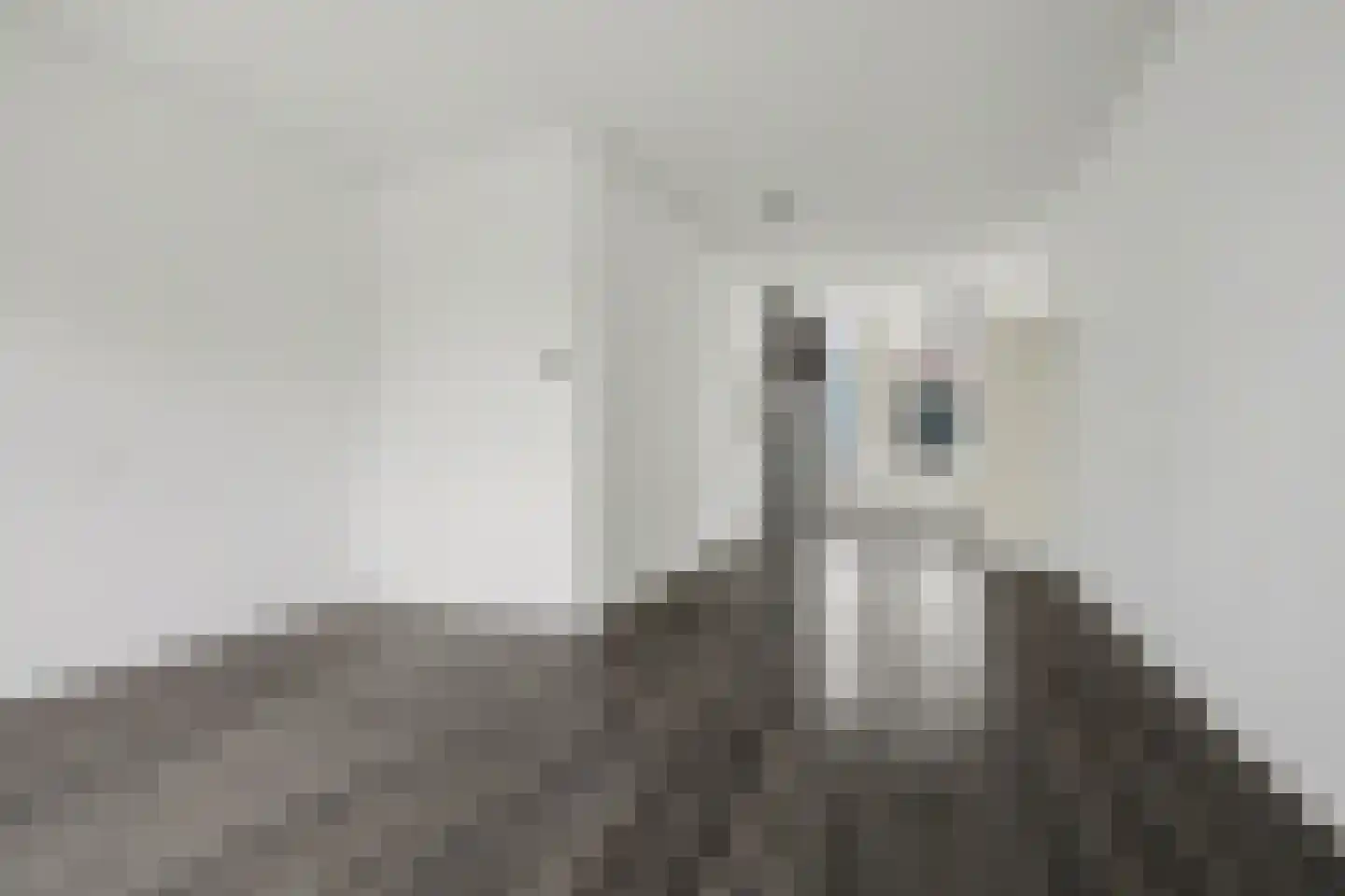 Kerkstraat 3 Strijen thumbnail 15