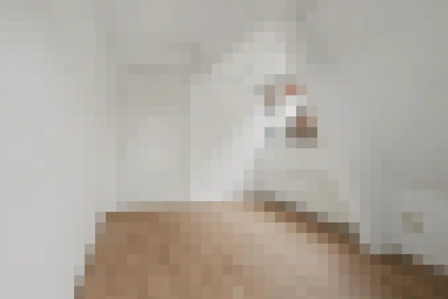 Kerkstraat 3 Strijen thumbnail 24