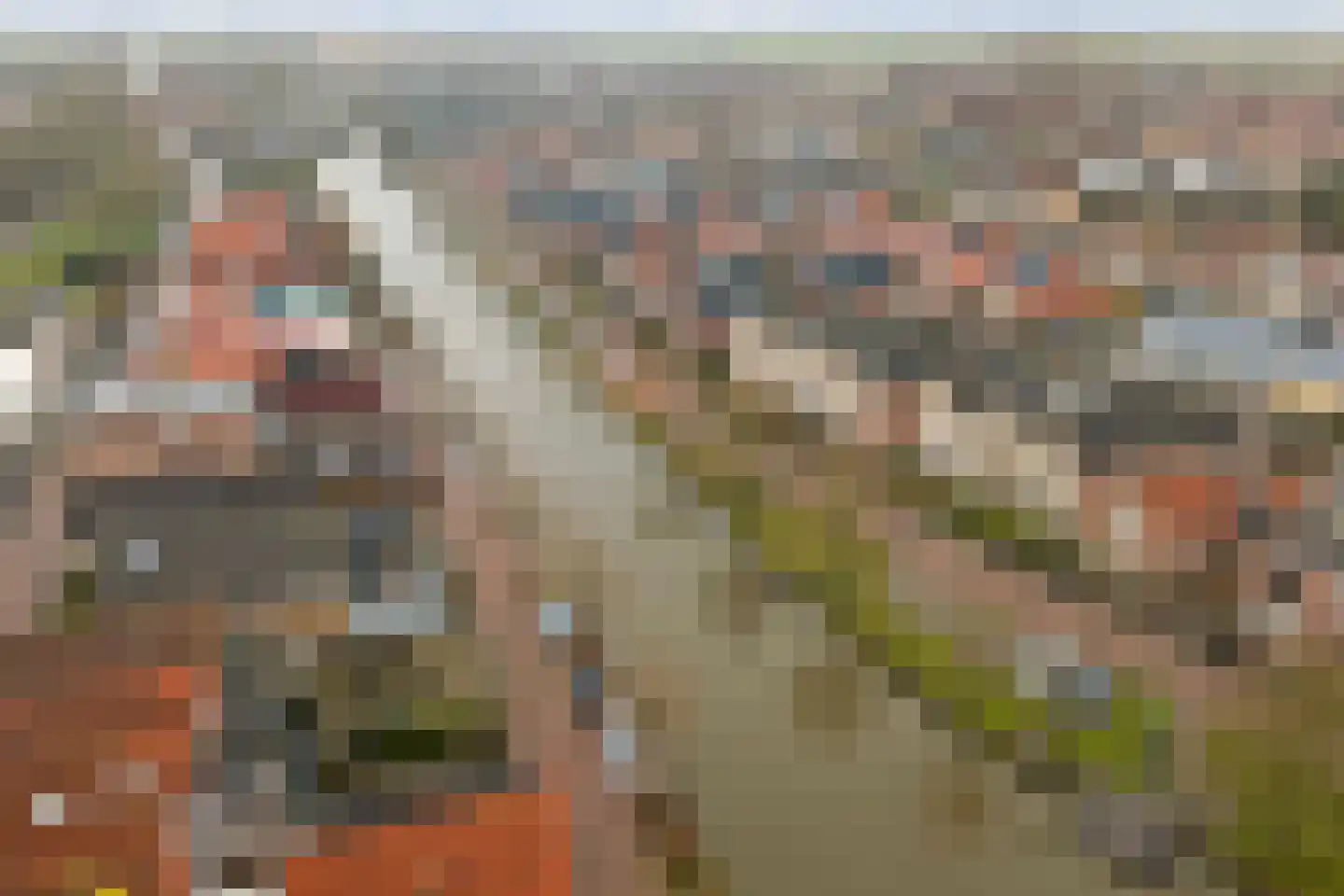 Kerkstraat 3 Strijen thumbnail 35