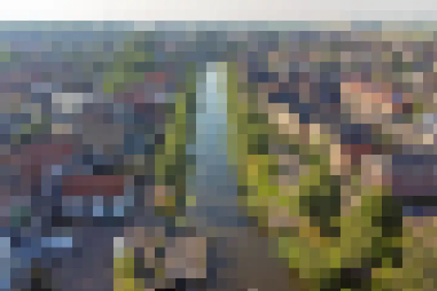 Kerkstraat 3 Strijen thumbnail 40